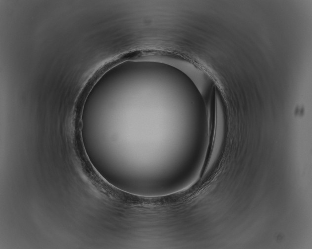 X0000091170580200708231507