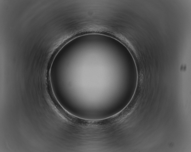 X0000091170581200708231507