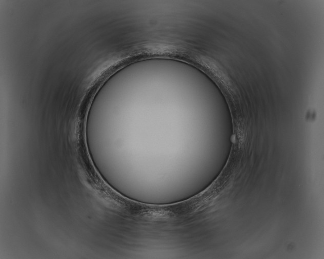 X0000091170583200708231507