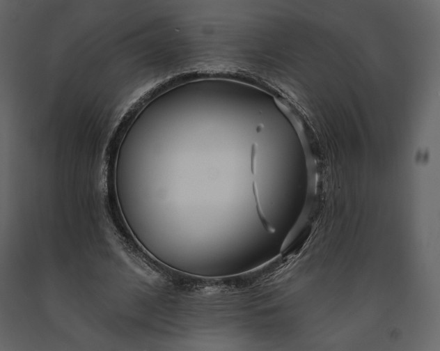 X0000091170584200708231507