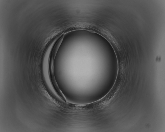 X0000091170585200708231507