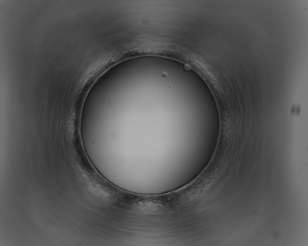 X0000091170586200708231507