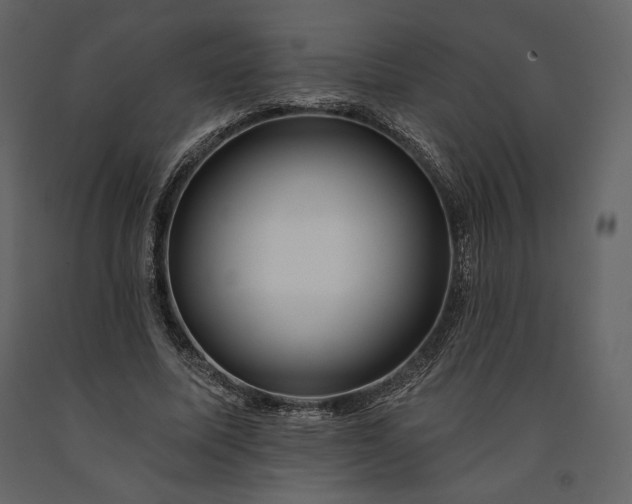 X0000091170587200708231507