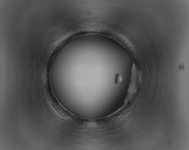 X0000091170588200708231507