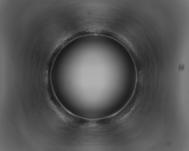 X0000091170589200708231507