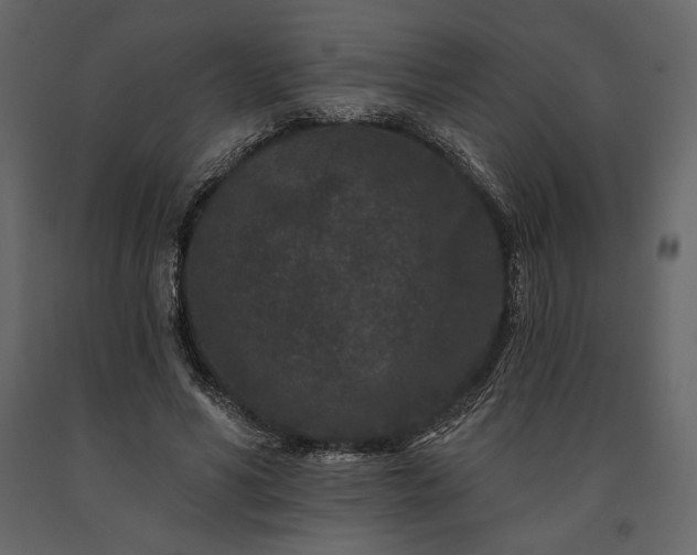 X0000091170590200708231507