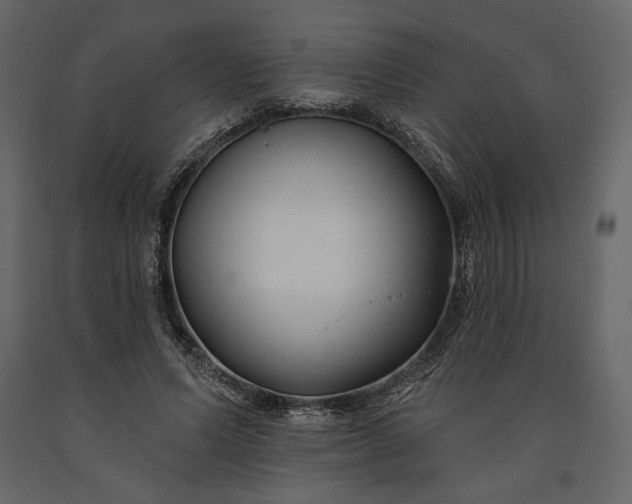 X0000091170591200708231507