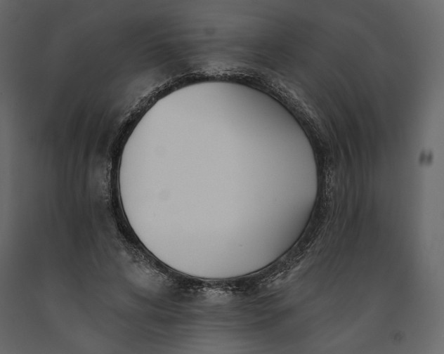 X0000091170592200708231507