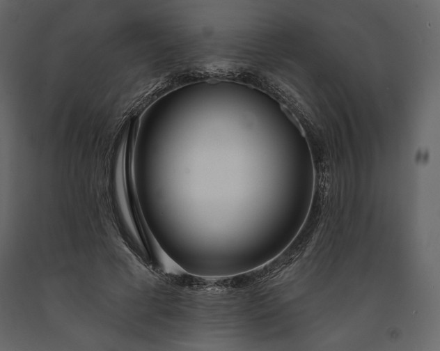 X0000091170593200708231507