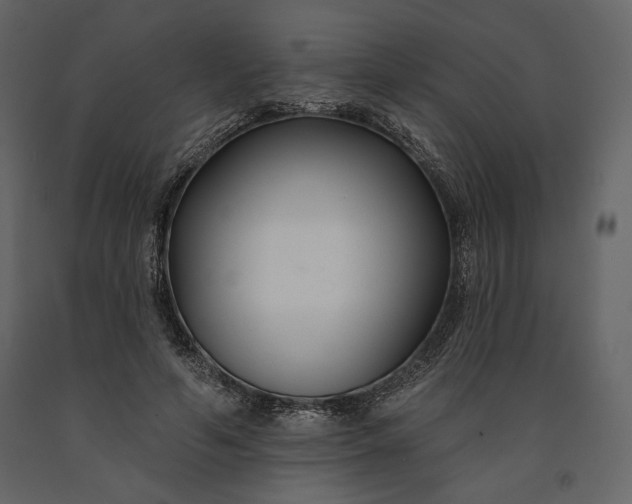 X0000091170594200708231507