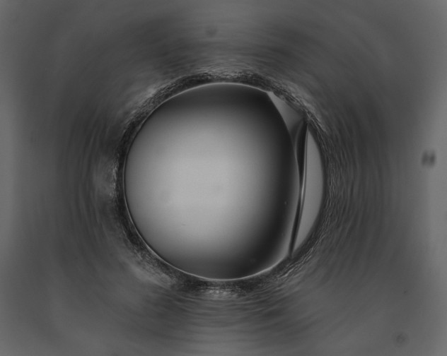 X0000091170596200708231507