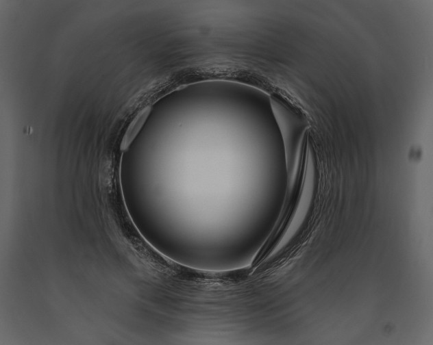 X0000091170597200708231507