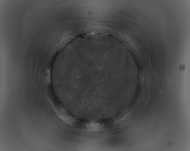 X0000091170598200708231507