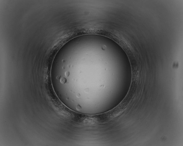 X0000091170599200708231507