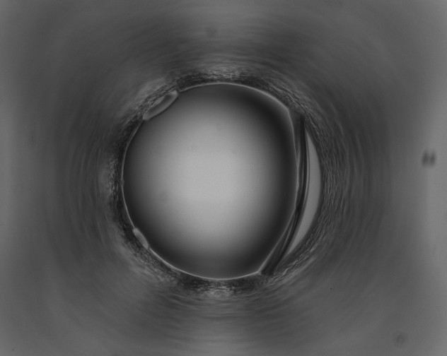 X0000091170600200708231507