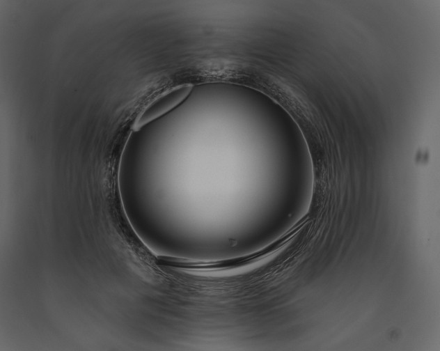 X0000091170601200708231507