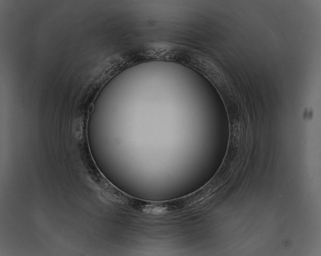 X0000091170602200708231507