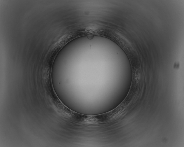 X0000091170603200708231507