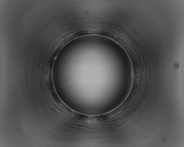 X0000091170604200708231507