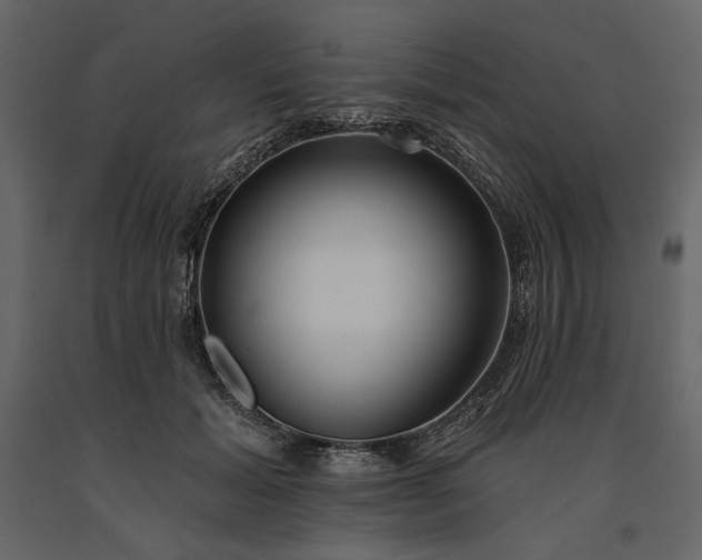 X0000091170605200708231507