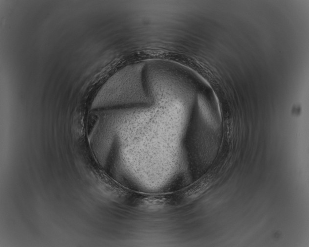 X0000091170606200708231507