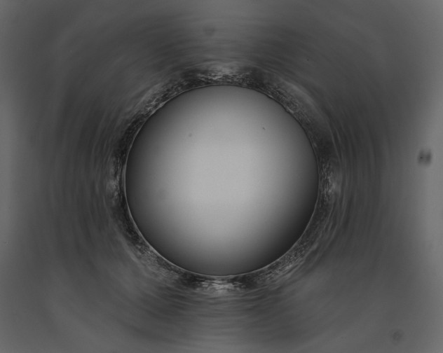 X0000091170607200708231507