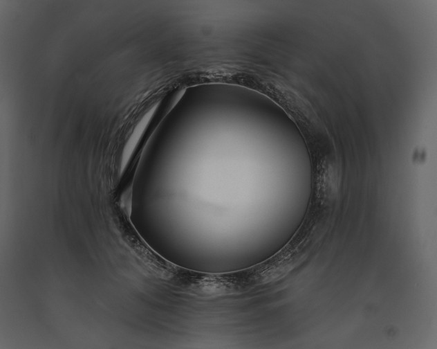 X0000091170608200708231507