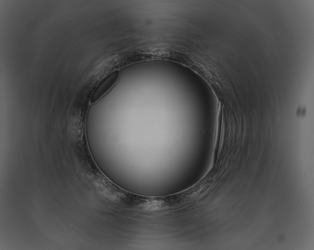 X0000091170609200708231507