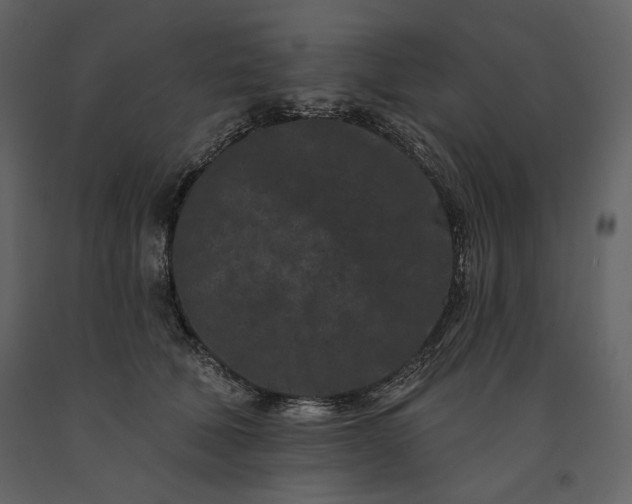 X0000091170610200708231507