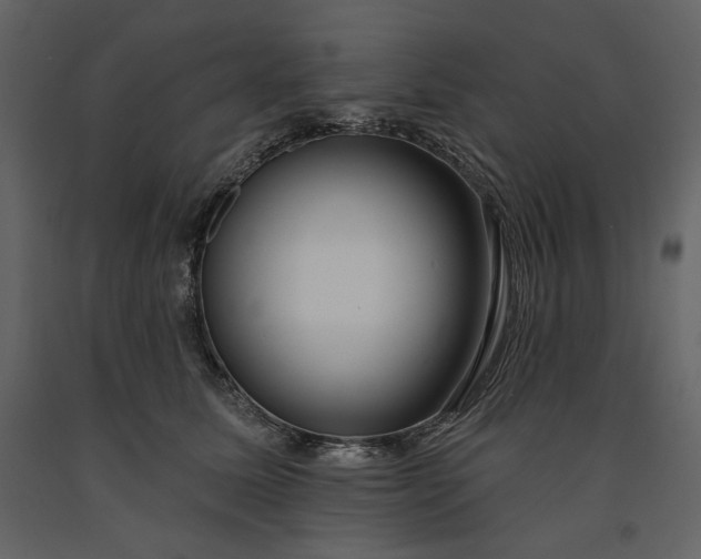 X0000091170611200708231507