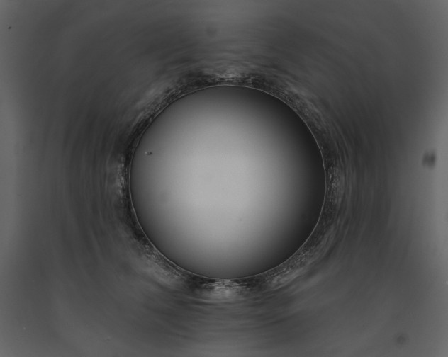 X0000091170612200708231507