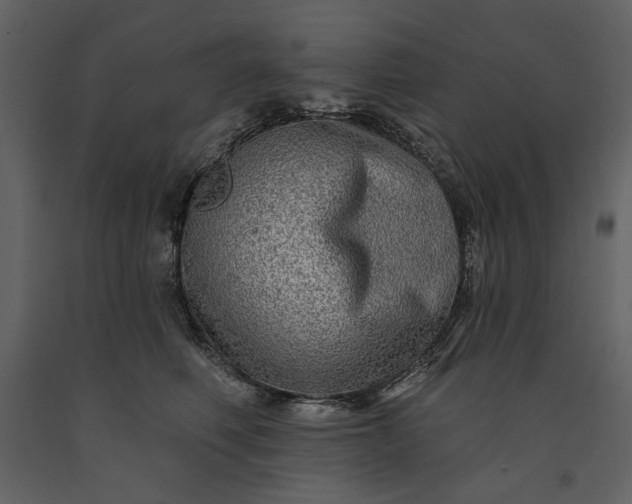 X0000091170614200708231507