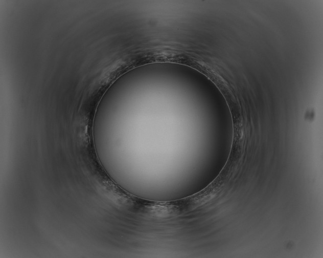 X0000091170615200708231507