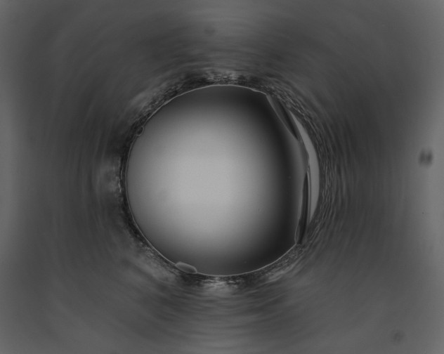 X0000091170616200708231507