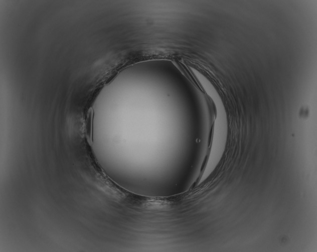 X0000091170617200708231507