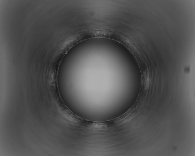 X0000091170619200708231507