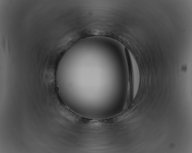 X0000091170620200708231507