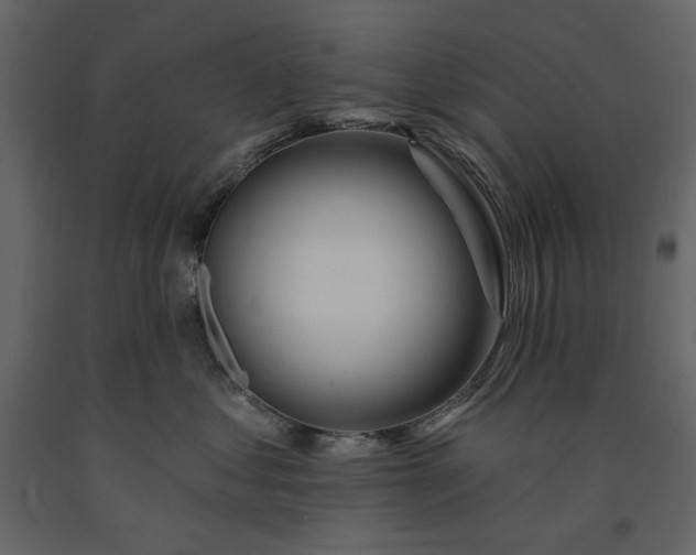 X0000091170621200708231507