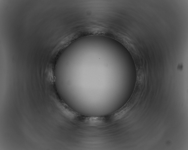 X0000091170622200708231507