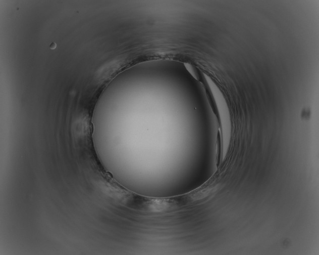 X0000091170623200708231507