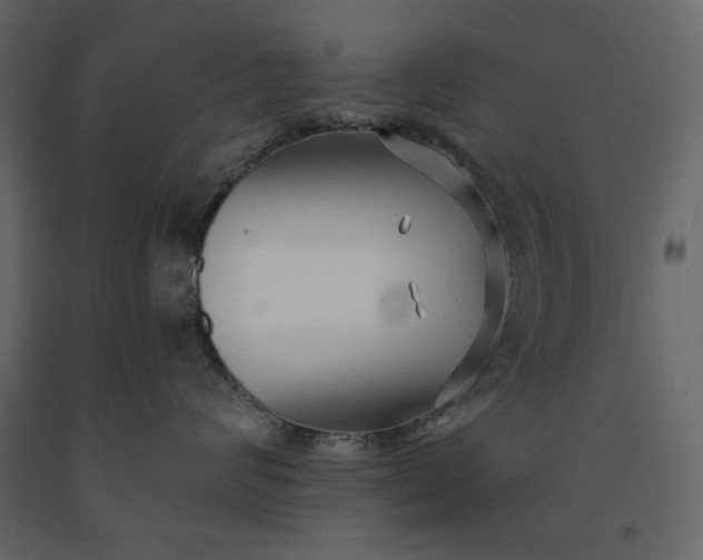 X0000091170624200708231507