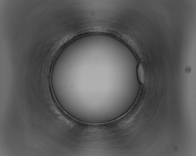 X0000091170625200708231506