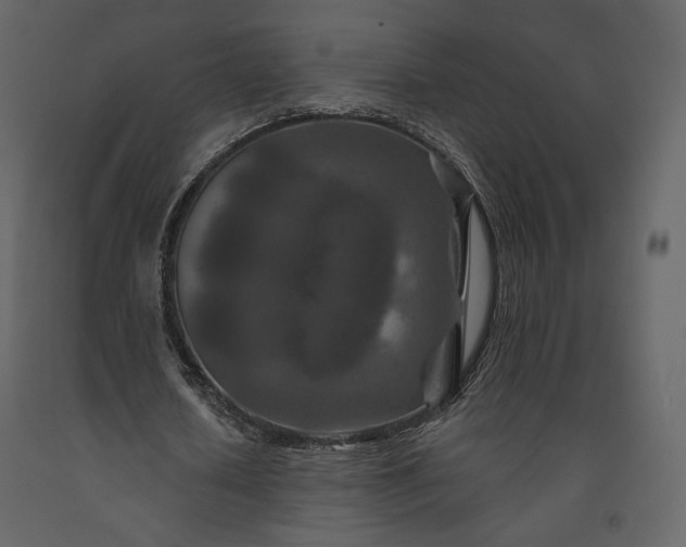 X0000091170626200708231506