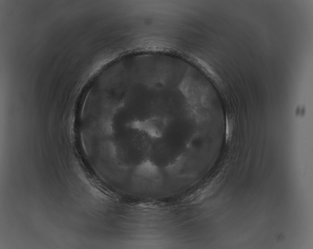 X0000091170627200708231506