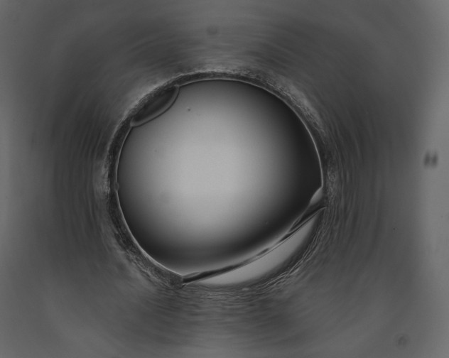 X0000091170628200708231506