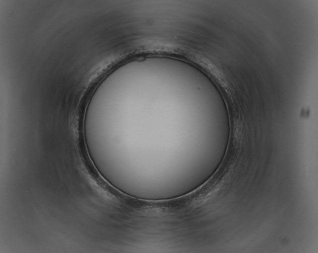 X0000091170629200708231506