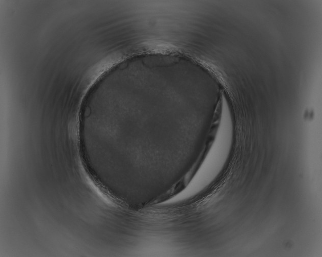 X0000091170630200708231506