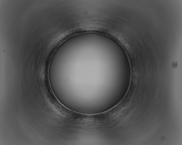 X0000091170631200708231506