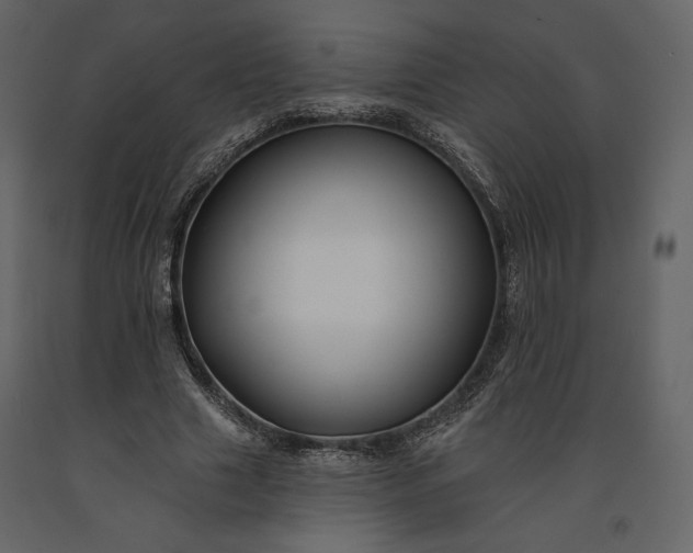 X0000091170633200708231506