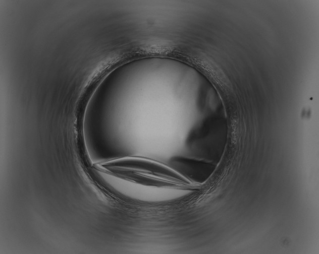 X0000091170634200708231506